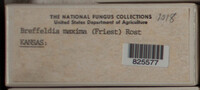 Image Associated With the Occurence